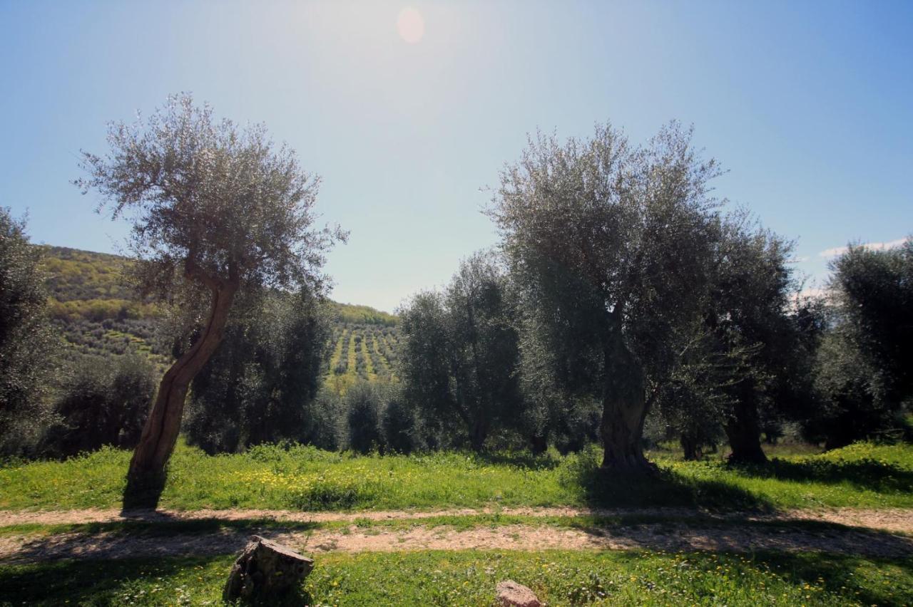 Masseria Procacci Ischitella Exterior photo