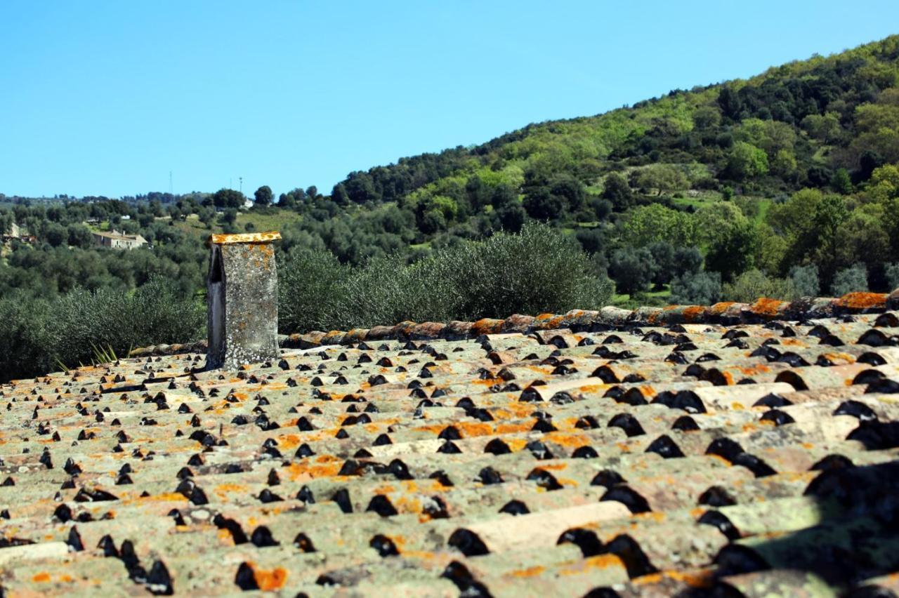 Masseria Procacci Ischitella Exterior photo